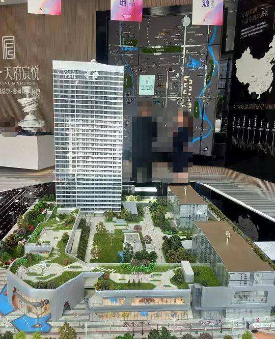 中粮天府寰悦 中粮天府寰悦